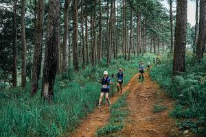 BIB: 
                            <button type="button" onclick="openModal(25659729)" class="btn btn-primary btn-sm float-right btn-popup" data-toggle="modal" data-target=".modal-high-quality">
                        <i class="fas fa-shopping-cart"></i> Add to Cart
                    </button>
                                            <button type="button" onclick="isThisMe(25659729, true)" class="btn btn-success btn-sm float-right btn-popup btn-isme hidden" data-toggle="tooltip" data-placement="bottom" title="นี่คือรูปของคุณใช่ไหม คลิกที่นี่เพื่อเอาเข้าอัลบั้ม">
                        <i class="fas fa-plus"></i> Add to album
                    </button>
                    <button type="button" onclick="isThisMe(25659729, false)" class="btn btn-warning btn-sm float-right btn-popup btn-isnotme hidden">
                        <i class="fas fa-ban"></i> Remove from album
                    </button>